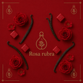 Rosa Ruba